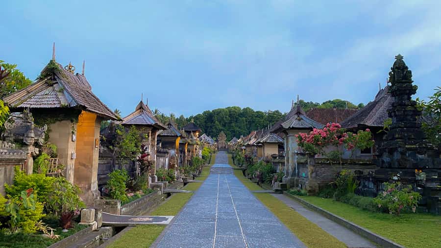 Bali: Penglipuran Village, Rice Terrace & Waterfall Tour - Tegenungan Waterfall: refreshing, scenic, and worth a slower moment