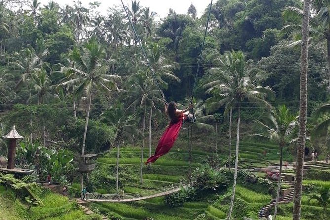 Bali Private 3 Days Tour Package Highlight - Practical tips before you go
