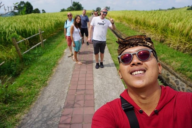 Bali Private Car Charter Tour with English Speaking Driver - Why a private Bali car charter beats DIY in Ubud