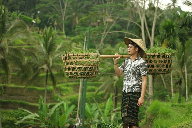Bali Private Car Charter Tour with English Speaking Driver - Ubud waterfall breaks: Tegenungan and the follow-up options