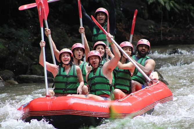 Bali Private Car Charter Tour with English Speaking Driver - Price and value: what $9 per person really means