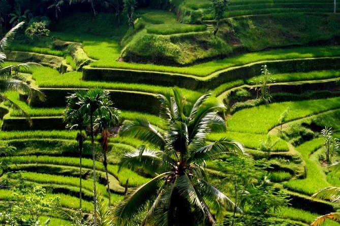 Bali Private Car Charter With English Speaking Driver - Nusa Dua Beach as Stop 1, and how to plan the morning