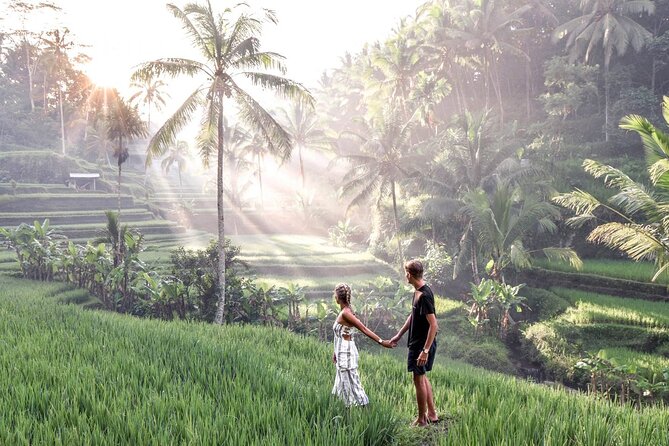 Bali Private Car Charter with English Speaking Driver Or Guide - The car options: comfort for 4 to 5, and what larger groups mean