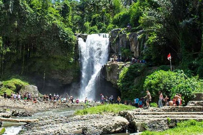 Bali Private Car Hire with Driver - Ubud Classics: Monkey Forest, Ridge Walk, Tegenungan, and Tegalalang