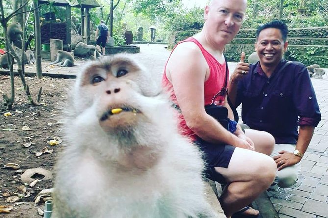 Bali Private Custom Tour - Bali Car Hire with Driver - The 8:00 am start and 10-hour rhythm for a custom Bali day
