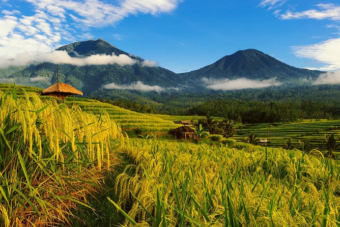 Bali Private Driver - Bali customized private tour - Key things I’d plan around