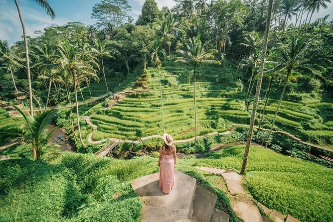 Bali Private Driver - Bali customized private tour - Ubud, Tegalalang, and Kintamani without the hassle of public transport