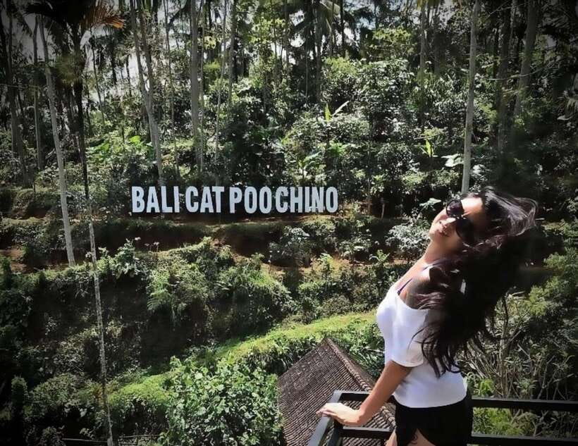 Bali: Private Full day trip Customizable tour - Pickup zones, comfort, and how to avoid the common Bali stress points