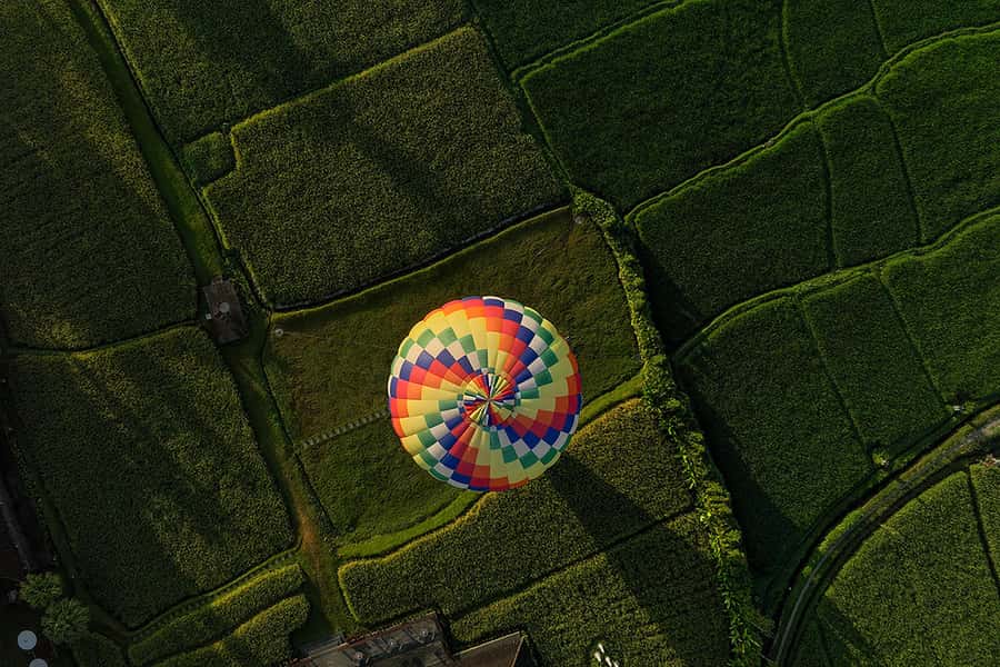 Bali: Private Hot-Air Balloon Ride - Up to 50 meters over Ubud’s rice paddies (and what you might see)