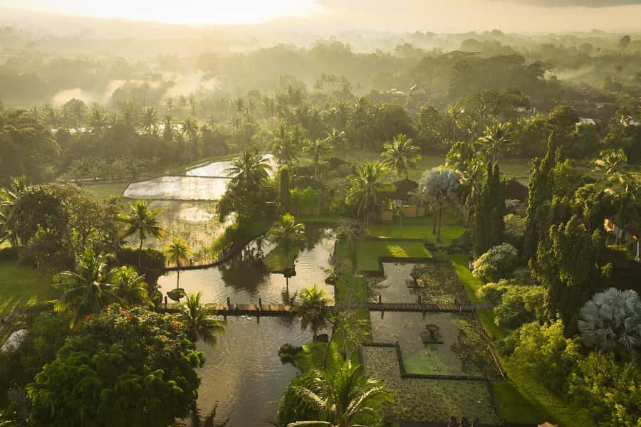 Bali: Private Hot-Air Balloon Ride - Price: how $126 per group up to 2 holds up