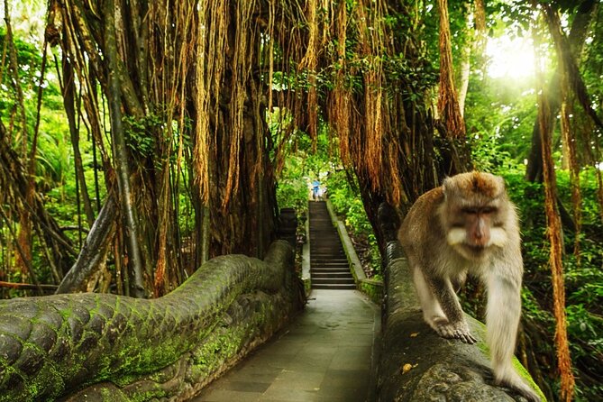 Bali Private inclusive tour: Best of Ubud in a Day - Stop 2: Tegenungan Waterfall, Green River Views and Swim Potential