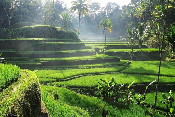 Bali Private Mystic Death Tour In Trunyan - Lake Batur Time With Danau Batur Views and the Included Boat Ticket
