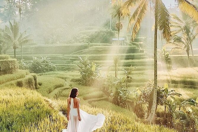 Bali Private Tour - Best of Ubud - All Inclusive - How This Private Best of Ubud Day Actually Feels