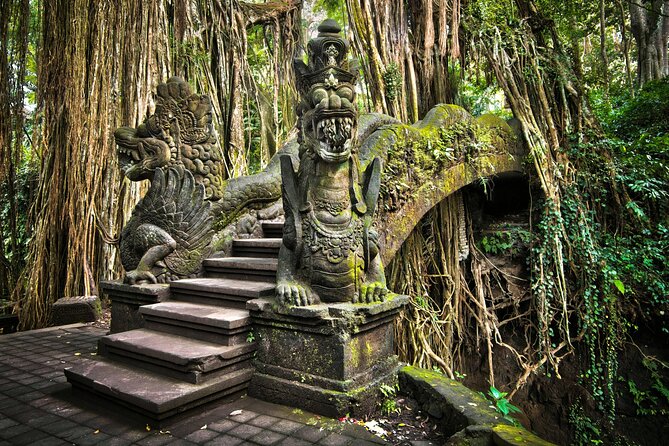 Bali Private Tour - Best of Ubud - All Inclusive - Tegalalang Rice Terraces: Why This View Works for a First Ubud Day