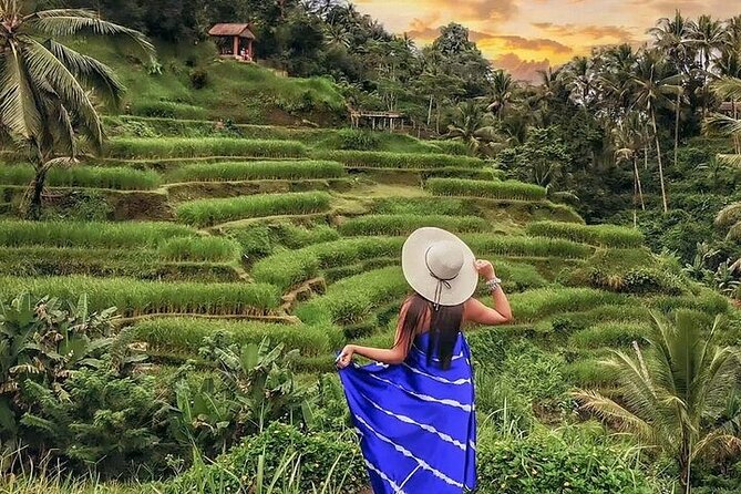 Bali Private Tour - Best of Ubud - All Inclusive - Tirta Empul Temple: Sacred Meaning Beyond the Photo
