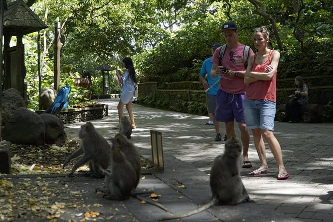 Bali Private Tour Waterfall with Tanah Lot Temple - Pickup, ride comfort, and the reality of a 10-hour route