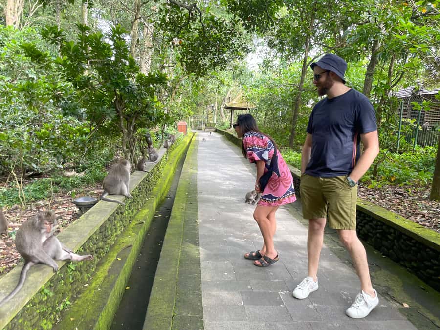 Bali: Private Ubud Highlights Tour with Customized Tour - Stop-by-Stop: What Each Ubud Highlights Style Actually Gives You