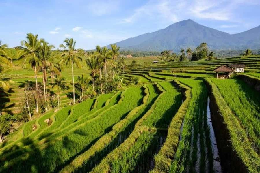 Bali: Private UNESCO World Heritage Sites Tour - Pura Taman Ayun: a royal water temple to set the mood