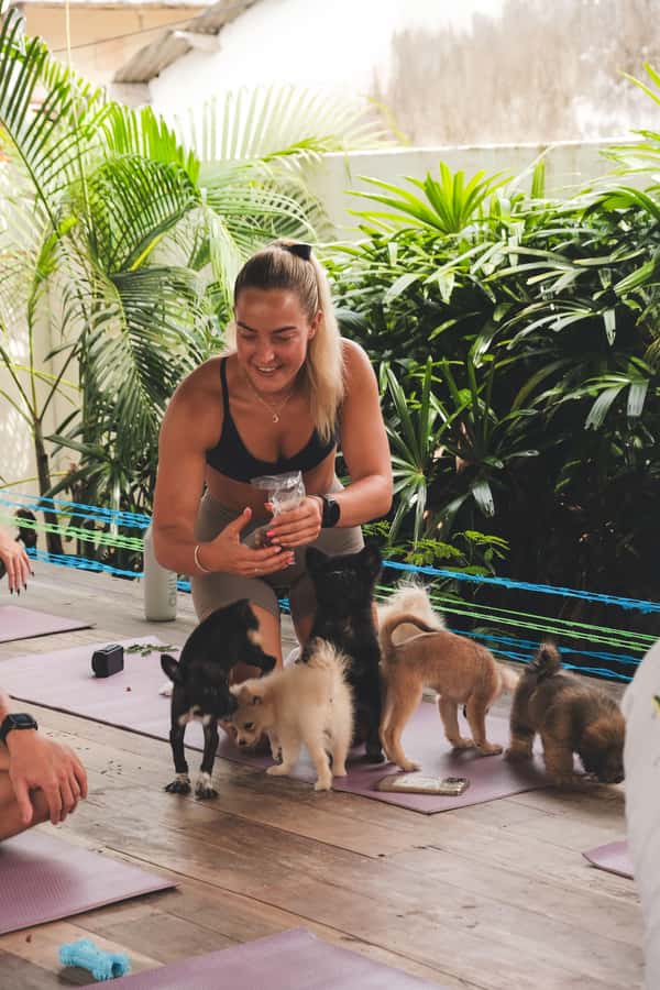 Bali: Puppy Yoga in Canggu - #1 Thing to Do - Where it happens in Canggu: Left Shala at Chandra Yoga Bali