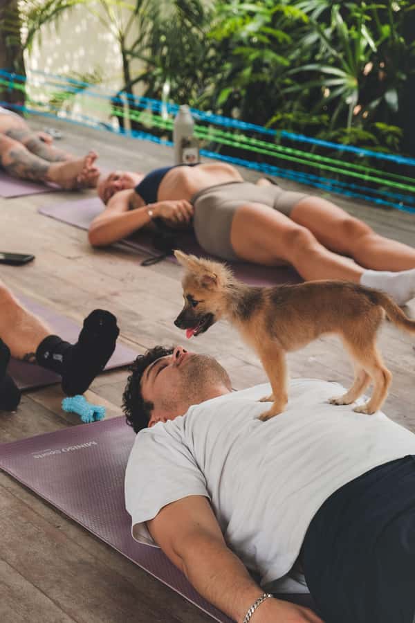 Bali: Puppy Yoga in Canggu - #1 Thing to Do - Should you book puppy yoga in Canggu? My decision guide