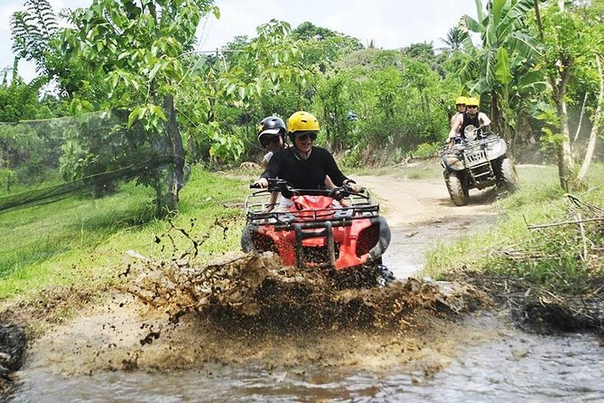 Bali Quad Bike Through Gorilla Cave - Monkey Forest and Waterfall - Lunch and pool break at Abiansila: when the day switches from adrenaline to recovery