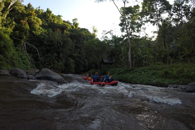 Bali Rafting - The Hike Down and the Climb Back Up: Plan for the Workout