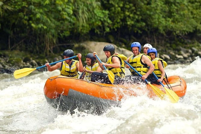 Bali Rafting : Bali Family Rafting in Ubud and Ubud Private Tour - Key highlights you will care about