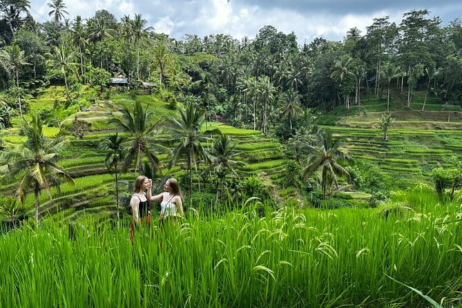 Bali Rafting : Bali Family Rafting in Ubud and Ubud Private Tour - Stop 3: Tegalalang rice terraces, with a small guided walk