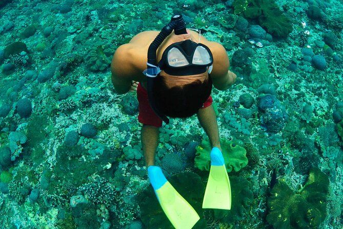 Bali Reef Cruise and Lembongan Island Day Trip - Why This Lembongan Reef Cruise Feels Like a Real Day at Sea
