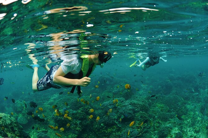 Bali Reef Cruise and Lembongan Island Day Trip - Price and Value: How $164-ish Makes Sense, and When It Doesn’t