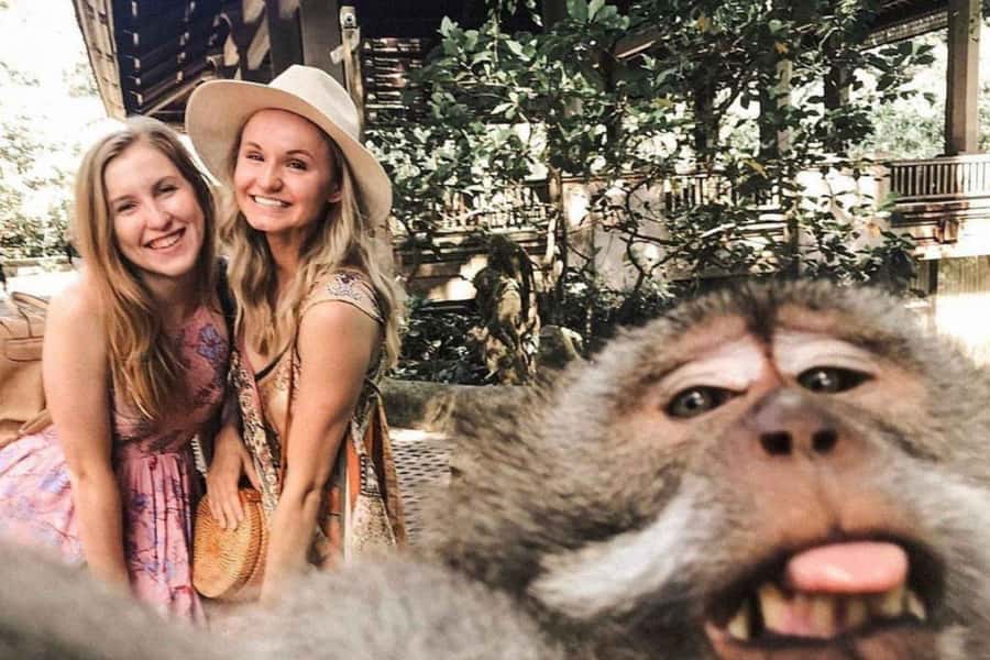 BALI :Sanctuary Monkey forest, rice terrace Water temple - Why This 9-Hour Ubud Circuit Works So Well
