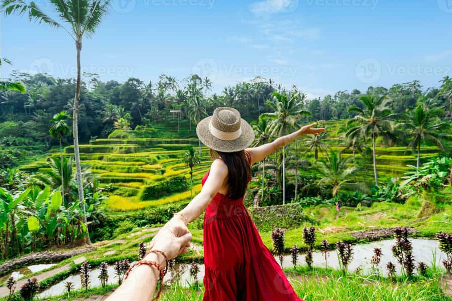 BALI :Sanctuary Monkey forest, rice terrace Water temple - Tegalalang Rice Terrace: Classic Ubud Views, Practical Photo Strategy