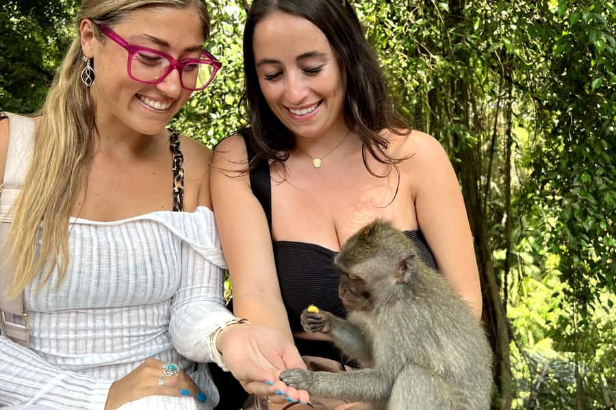 BALI :Sanctuary Monkey forest, rice terrace Water temple - Pickup, Timing, and What to Expect From the Guide