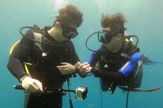 Bali Scuba Diving at Nusa Penida Manta Point For Certified Diver - Mantas, mola mola, and coral: what you can realistically spot