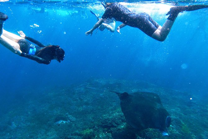 Bali Scuba Diving at Nusa Penida Manta Point For Certified Diver - Clothing, comfort, and the small stuff that saves your day