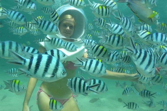 Bali Sea Walking Experience - Sea Walking With an Oxygen Helmet in Tanjung Benoa