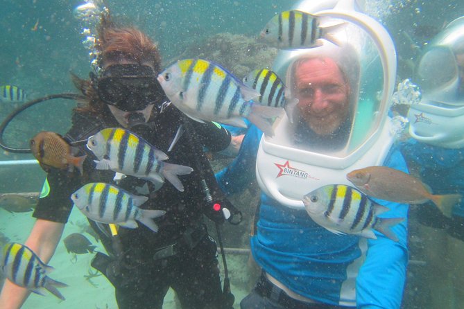 Bali Sea Walking Experience - Under the Helmet: How the 25 to 30 Minutes Actually Works