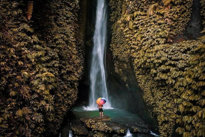 Bali Secret Waterfall Tour - Private and All-Inclusive - Monkey Forest and Weather Flexibility That Feels Like Control