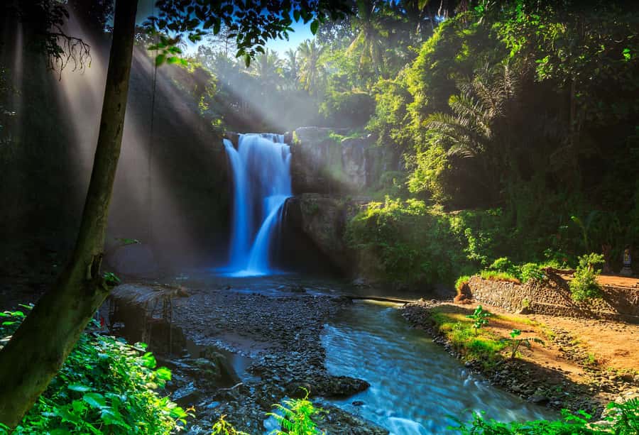 Bali: Shared or Private Highlights Ubud with Cretya Jungle - Why This Ubud + Cretya Day Works: Sacred Jungle, Holy Water, Pool Time