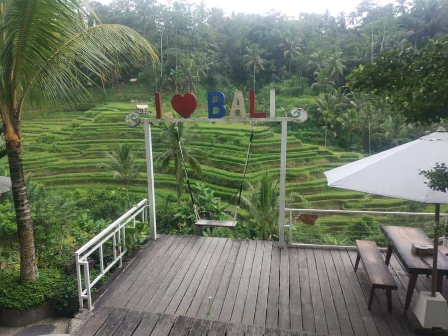 Bali: Shore Excursion for Cruises's passenger -All Inclusive - Optional Bali Swing: fun photos with real safety focus