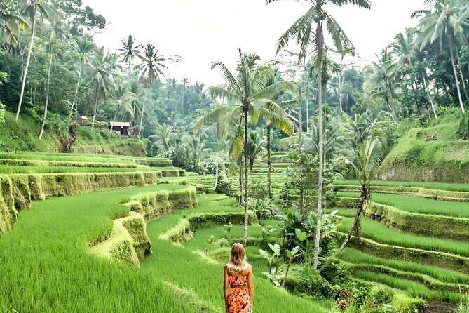 Bali Shore Excursions : Best of Bali Tour - Guide moments that can change your day