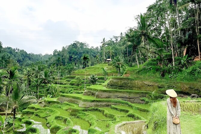 Bali Shore Excursions : Best of Bali Tour - Who should book this Best of Bali Tour