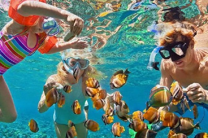 Bali Snorkeling at Blue Lagoon with Transport and Lunch - Key highlights worth your time