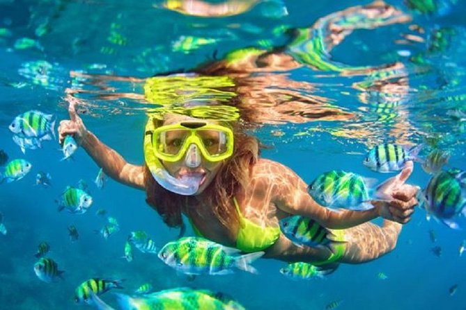 Bali Snorkeling at Blue Lagoon with Transport and Lunch - Private pickup and drop-off: the difference between “a tour” and “a pain”