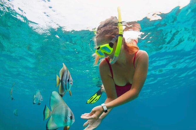 Bali Snorkeling at Blue Lagoon with Transport and Lunch - From gear fit to first breaths: what actually happens before you snorkel