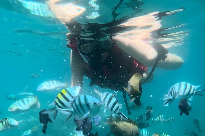 Bali Snorkeling at Blue Lagoon with Waterfall Include Lunch - Price and logistics: what you pay for, and what you should check