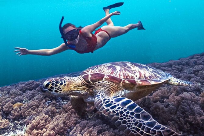 Bali Snorkeling at Blue Lagoon with Waterfall Include Lunch - Pickup and private comfort: what it changes for real people