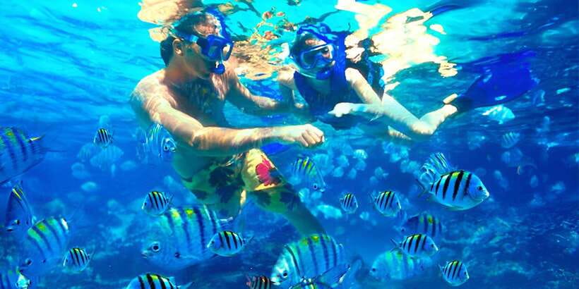 Bali: Snorkeling on 2 spots with Lunch and Transport - Is $51 Good Value for This Bali Snorkeling Package?