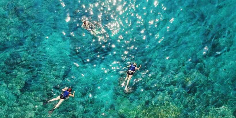 Bali: Snorkeling on 2 spots with Lunch and Transport - Why Two Snorkeling Spots in Bali Works So Well