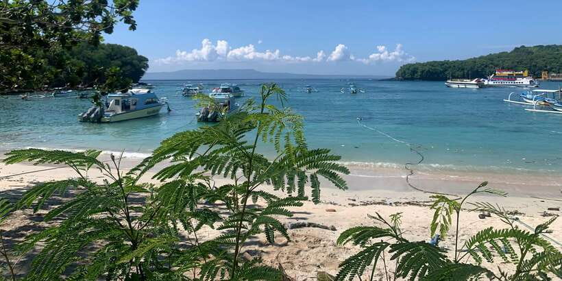 Bali: Snorkeling on 2 spots with Lunch and Transport - Stop 1: Blue Lagoon Beach for Coral Color and Easy Fish Viewing